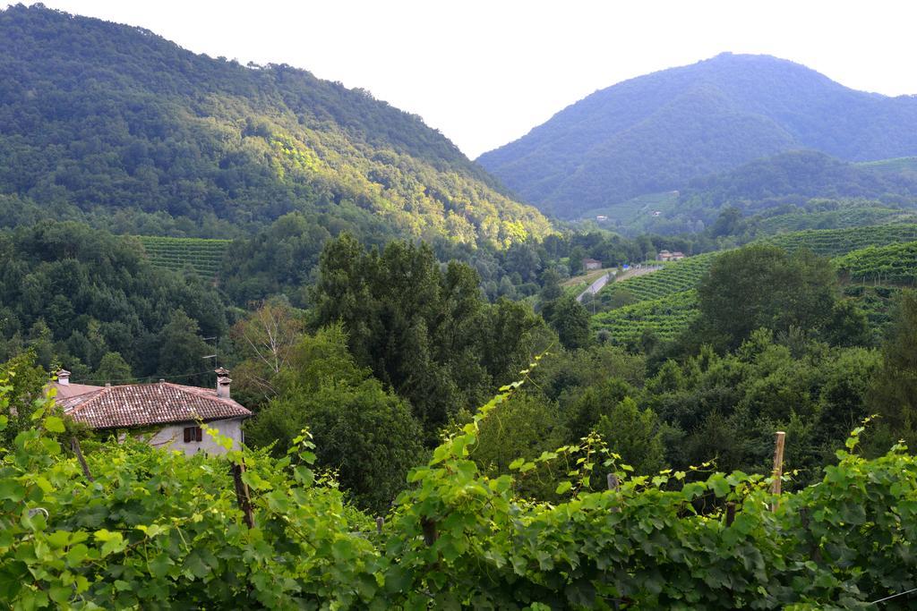 B&B Casa Di Campagna Miane 部屋 写真